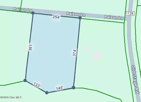 tbd Paison Ln, Gibson, NC 28343 photo 3