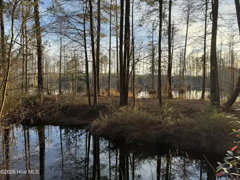 tbd Paison Ln, Gibson, NC 28343 photo 8