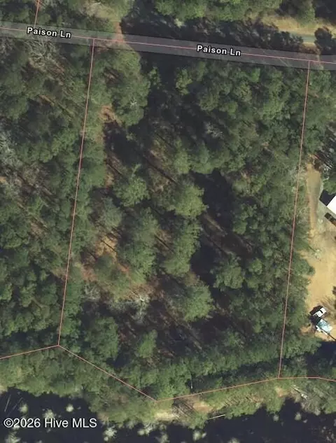 tbd Paison Ln, Gibson, NC 28343 photo 2