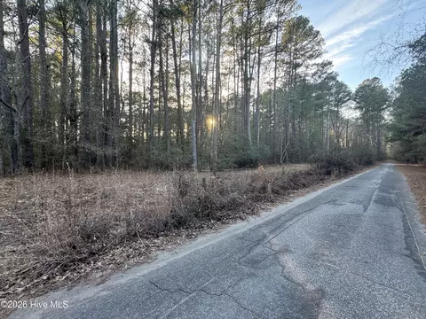 tbd Paison Ln, Gibson, NC 28343 photo 11