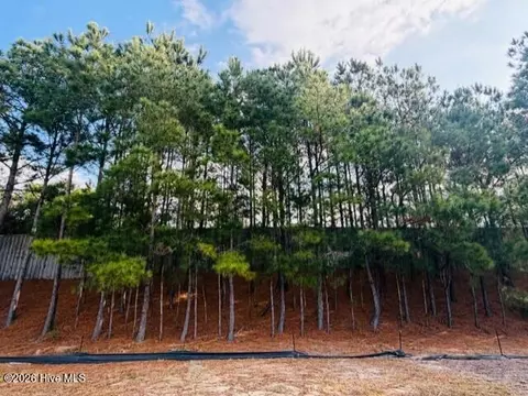 2181 Palm Pointe NE, Leland, NC 28451