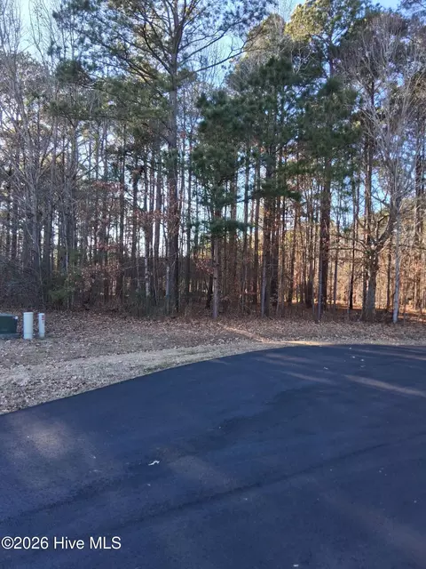 14 Newbegun Creek Ct, Hertford, NC 27944
