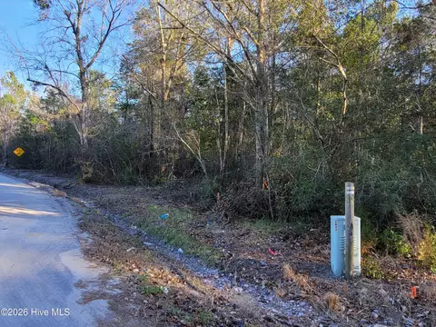 tbd Log Cabin Rd, Loris, SC 29569 photo 6