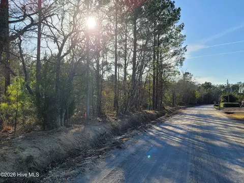 tbd Log Cabin Rd, Loris, SC 29569 photo 8