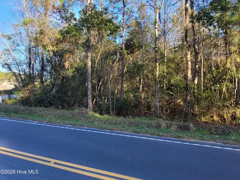 tbd Log Cabin Rd, Loris, SC 29569 photo 4