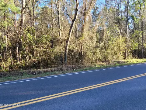 tbd Log Cabin Rd, Loris, SC 29569 photo 3