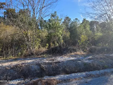 lot2 Auburn Dr, Loris, SC 29569
