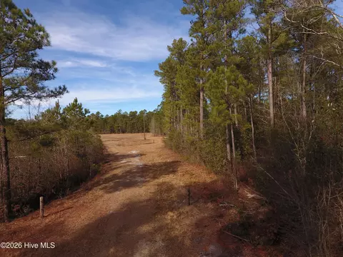 0 Near 8790 Green Swamp Rd S, Bolton, NC 28423
