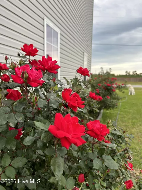 Other - 428 Elgin Rd, Hubert, NC 28539 photo 21 of 22