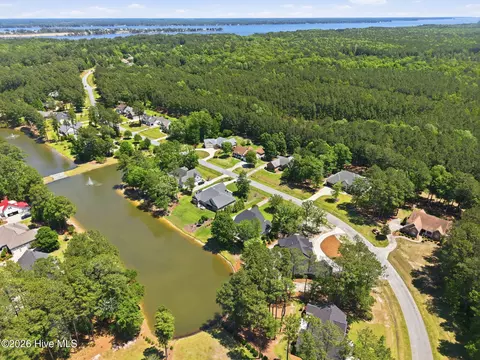 View/Area - 421 Cypress Landing Trl, Chocowinity, NC 27817 photo 2 of 7