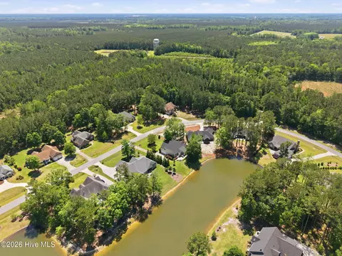 View/Area - 421 Cypress Landing Trl, Chocowinity, NC 27817 photo 3 of 7