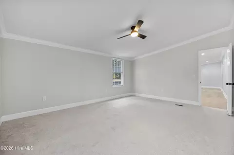 371 Harley Dr, Willard, NC 28478 photo 19