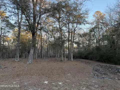 1764 Oyster Harbour Pkwy SW, Supply, NC 28462