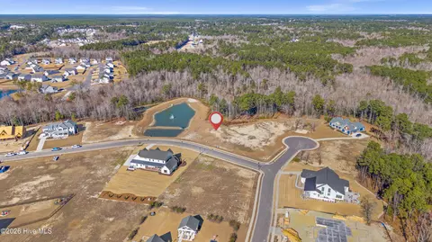 31 Dragonfly Ln, Hampstead, NC 28443 photo 3