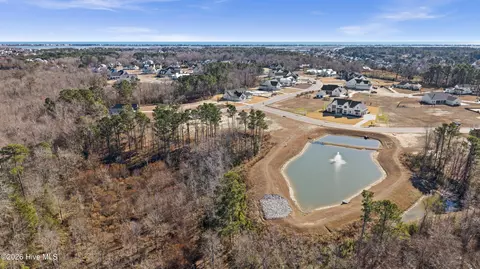 31 Dragonfly Ln, Hampstead, NC 28443 photo 11