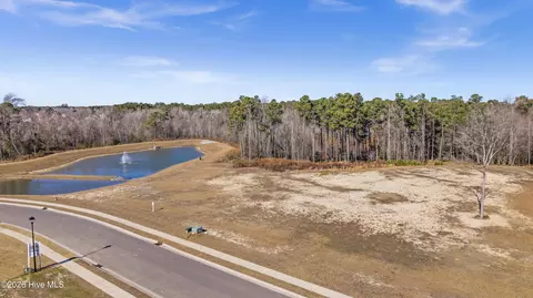 31 Dragonfly Ln, Hampstead, NC 28443 photo 9