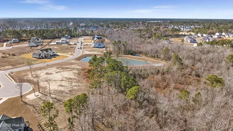 31 Dragonfly Ln, Hampstead, NC 28443 photo 13
