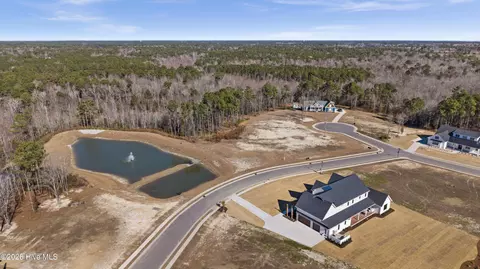 31 Dragonfly Ln, Hampstead, NC 28443 photo 10
