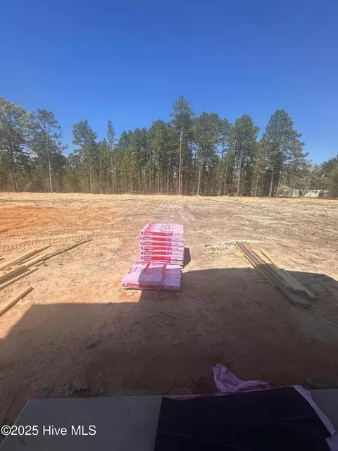 Exterior - 151 Merle Rd, Pinebluff, NC 28373 photo 3 of 3