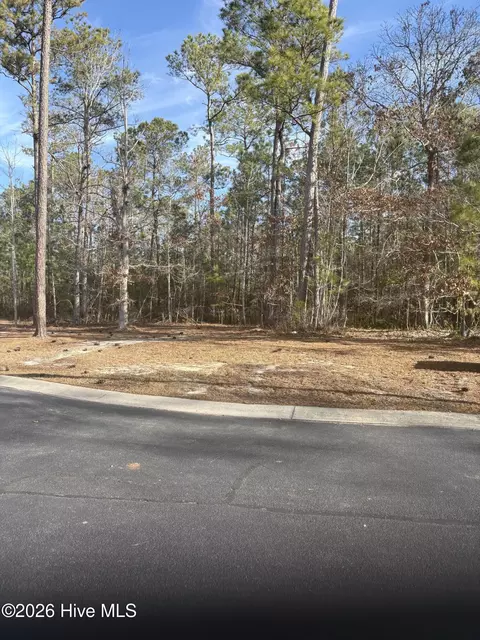 1206 Mandevilla Dr SE, Bolivia, NC 28422