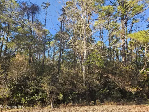 lot67 New Hanover Rd, Boiling Spring Lakes, NC 28461