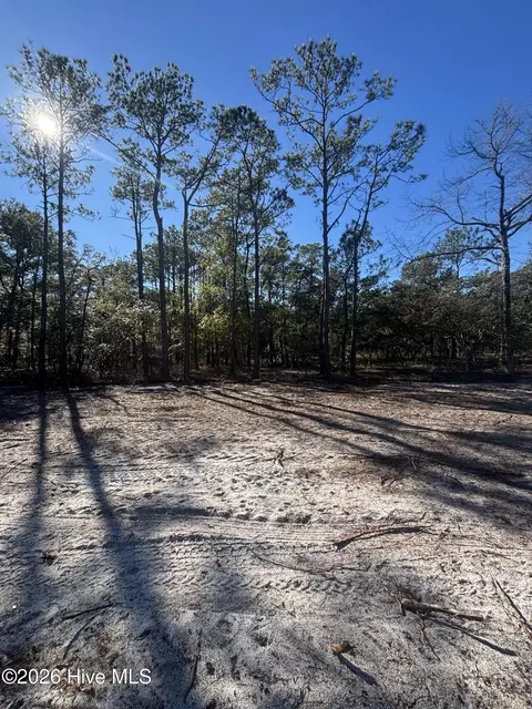 lot111 Egret Walk Ct, Southport, NC 28461