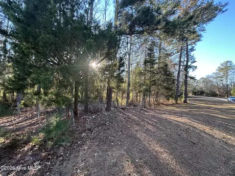 65 Old Blakes Bridge Rd, Burgaw, NC 28425
