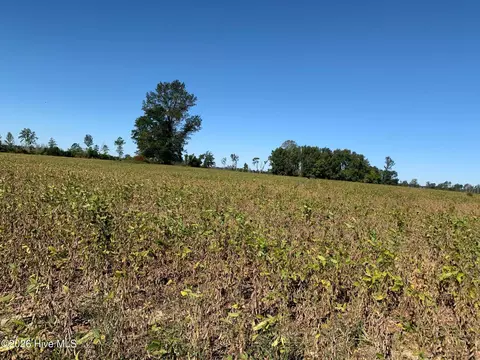 tbd Hendrix Ln, Windsor, NC 27983 photo 2