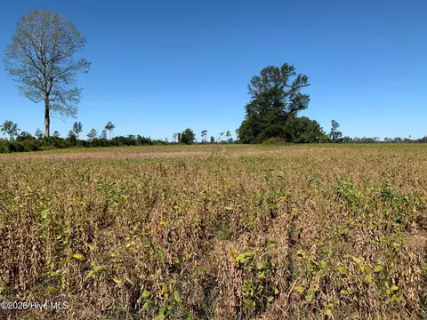 tbd Hendrix Ln, Windsor, NC 27983