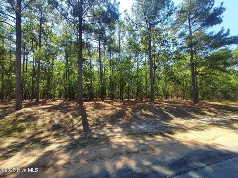 36 Peach Orchard Rd, Wagram, NC 28396