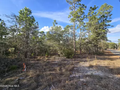 lot B Harper Lake Dr, Southport, NC 28461