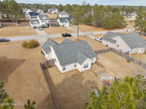 View/Area - 148 Basket Oak Dr, Bunnlevel, NC 28323 photo 6 of 8