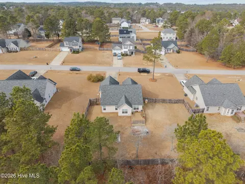 View/Area - 148 Basket Oak Dr, Bunnlevel, NC 28323 photo 8 of 8