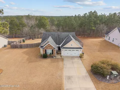 View/Area - 148 Basket Oak Dr, Bunnlevel, NC 28323 photo 1 of 8