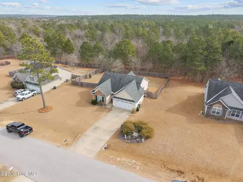 View/Area - 148 Basket Oak Dr, Bunnlevel, NC 28323 photo 4 of 8