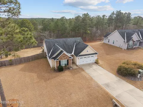 View/Area - 148 Basket Oak Dr, Bunnlevel, NC 28323 photo 2 of 8