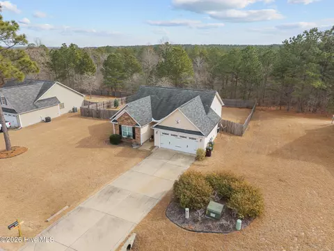 View/Area - 148 Basket Oak Dr, Bunnlevel, NC 28323 photo 3 of 8