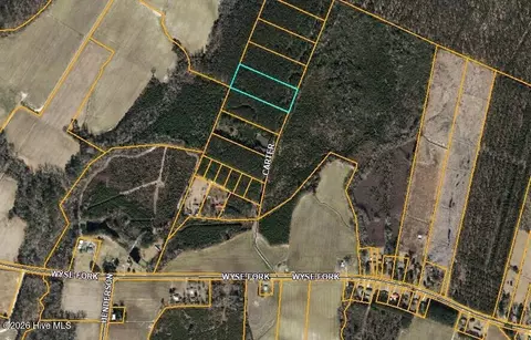 lot5 Off Sr 1002, Trenton, NC 28585