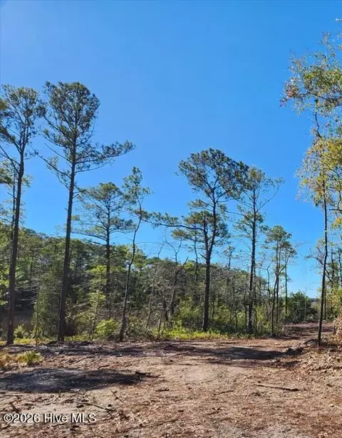 lot215 Starling Break Rd, Southport, NC 28461
