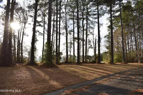 179 Corrolla Loop Rd, Oriental, NC 28571 photo 2