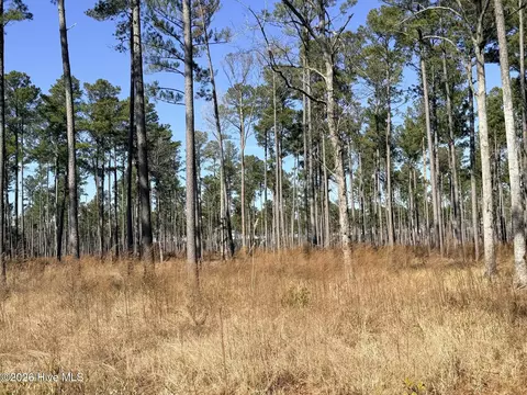 0 Sr 1119 Off, Chocowinity, NC 27817