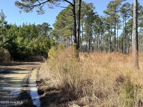 0 Sr 1119 Off, Chocowinity, NC 27817 photo 3