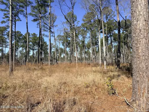 0 Sr 1119 Off, Chocowinity, NC 27817 photo 2