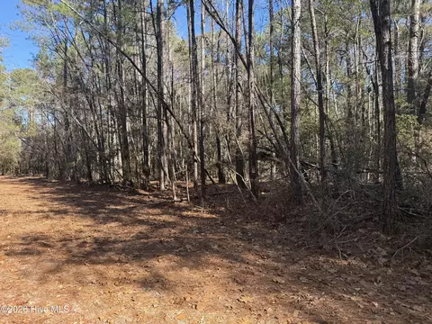 464 Sweet Gum Dr, Vass, NC 28394