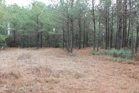 lot1 Callaway Ct, Hampstead, NC 28443