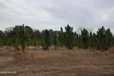 lot43 Stuarts Mill Rd, Fairmont, NC 28340