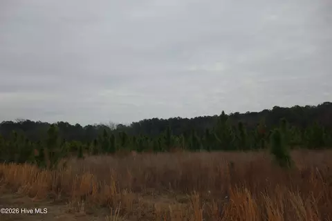 lot45 Stuarts Mill Rd, Fairmont, NC 28340