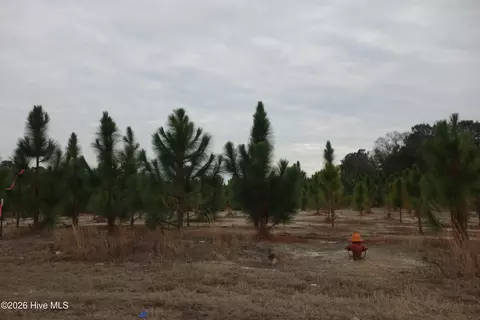 lot42 Stuarts Mill Rd, Fairmont, NC 28340