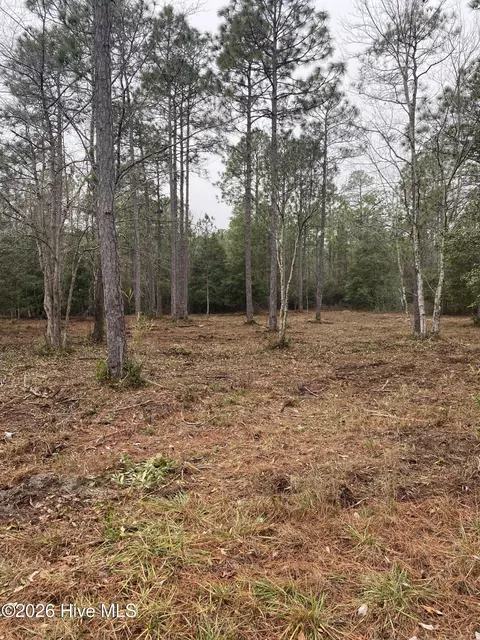 lot32 33 Ash Rd, Boiling Spring Lakes, NC 28461