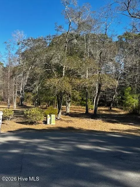 141 Eagle Ct SW, Supply, NC 28462